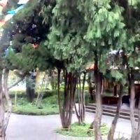 扎西永卓圖片照片_扎西永卓