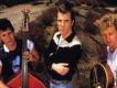 Stray Cats[流浪貓樂隊]歌曲歌詞大全_Stray Cats[流浪貓樂隊]最新歌曲歌詞