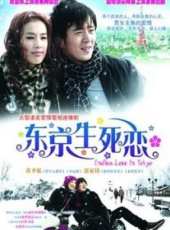 黃聖依演過的電影電視劇線上看_影視作品大全_好看的明星