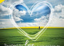 Touched by Love專輯_Bernward KochTouched by Love最新專輯
