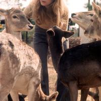 Jackie DeShannon圖片照片_Jackie DeShannon