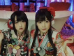 petit milady圖片照片
