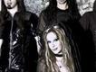 Mandragora Scream[尖叫歌曲歌詞大全_Mandragora Scream[尖叫最新歌曲歌詞