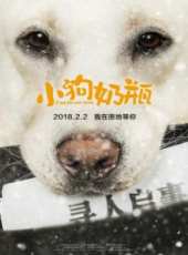 高婷婷演過的電影電視劇線上看_影視作品大全_好看的明星