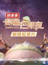 千錘百鍊的職業拳擊手最新一期線上看_全集完整版高清線上看 - 蟲蟲綜藝