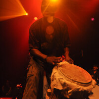 Quantic Soul Orchestra圖片照片_Quantic Soul Orchestra