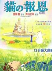 前田亞季演過的電影電視劇線上看_影視作品大全_好看的明星