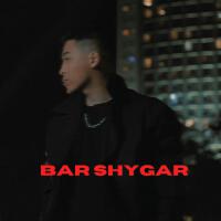 Bar shygar