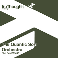 She Said What?專輯_Quantic Soul OrchestShe Said What?最新專輯