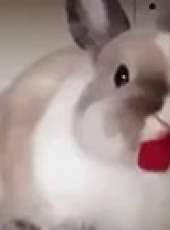 萌次元最新一期線上看_全集完整版高清線上看_好看的綜藝