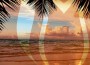 Suanda Chillout, Vol. 2: Mixed by Seven24專輯_FeelSuanda Chillout, Vol. 2: Mixed by Seven24最新專輯