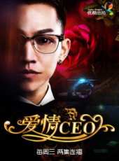 愛情CEO線上看_全集高清完整版線上看_分集劇情介紹_好看的電視劇