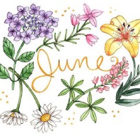 JUNE圖片照片_JUNE