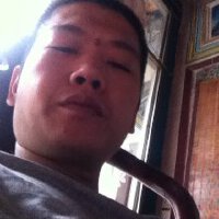 葉偉林圖片照片_葉偉林
