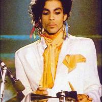 Prince Fox最新歌曲_最熱專輯MV_圖片照片