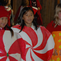 Holiday Parade圖片照片_Holiday Parade