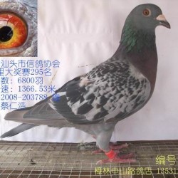 蔡仁浩圖片照片_蔡仁浩