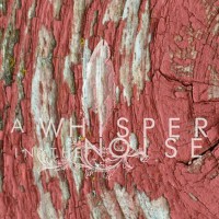 To Forget專輯_A Whisper in the NoiTo Forget最新專輯