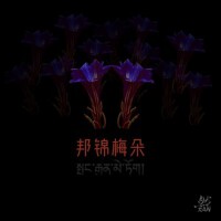 邦錦梅朵