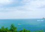 SAILING LP專輯_Tajima HalSAILING LP最新專輯