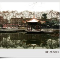 DG Devil圖片照片_DG Devil