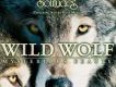 Wild Wolf 野狼
