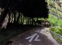 夏目友人帳 音楽集 おとのけの捧げもの (夏目友人帳 音樂集 音怪的饋贈)專輯_吉森信夏目友人帳 音楽集 おとのけの捧げもの (夏目友人帳 音樂集 音怪的饋贈)最新專輯