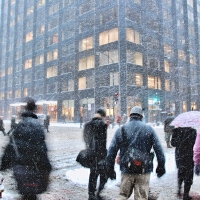 Chicago圖片照片_Chicago