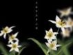 Hi-Fi CAMP歌曲歌詞大全_Hi-Fi CAMP最新歌曲歌詞