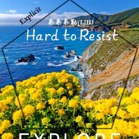 Hard to Resist