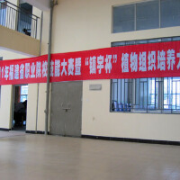 黃榮蘭圖片照片_黃榮蘭