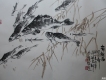 張藝峰圖片照片_張藝峰
