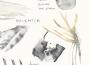 Music From Before the Storm專輯_DaughterMusic From Before the Storm最新專輯