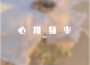 心跳頻率專輯_ZIV心跳頻率最新專輯