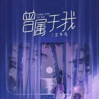 王平凡歌曲歌詞大全_王平凡最新歌曲歌詞