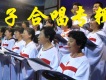 雁子圖片照片_雁子