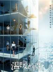 張鈞甯最新電視劇_張鈞甯電視劇作品全集線上看_好看的電視劇
