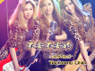 The same DNA歌曲歌詞大全_The same DNA最新歌曲歌詞