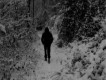 Nocturnal Depression圖片照片