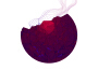 Purpleston歌曲歌詞大全_Purpleston最新歌曲歌詞