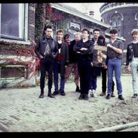 The Chameleons圖片照片_The Chameleons