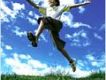FLY HIGH!!