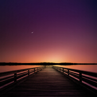 Solitude圖片照片_Solitude