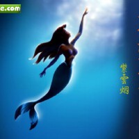 帶淚的魚原創圖片照片_帶淚的魚原創