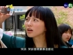 蜂蜜幸運草圖片照片_蜂蜜幸運草