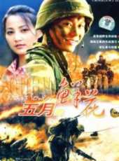 李晨演過的電影電視劇線上看_影視作品大全_好看的明星