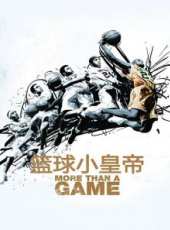 勒布朗·詹姆斯演過的電影電視劇線上看_影視作品大全_好看的明星