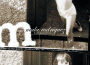 La Niña (USA) [Explicit]專輯_Mala RodríguezLa Niña (USA) [Explicit]最新專輯