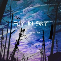 FLY IN SKY