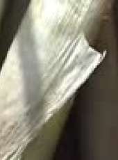7日7頻道最新一期線上看_全集完整版高清線上看_好看的綜藝